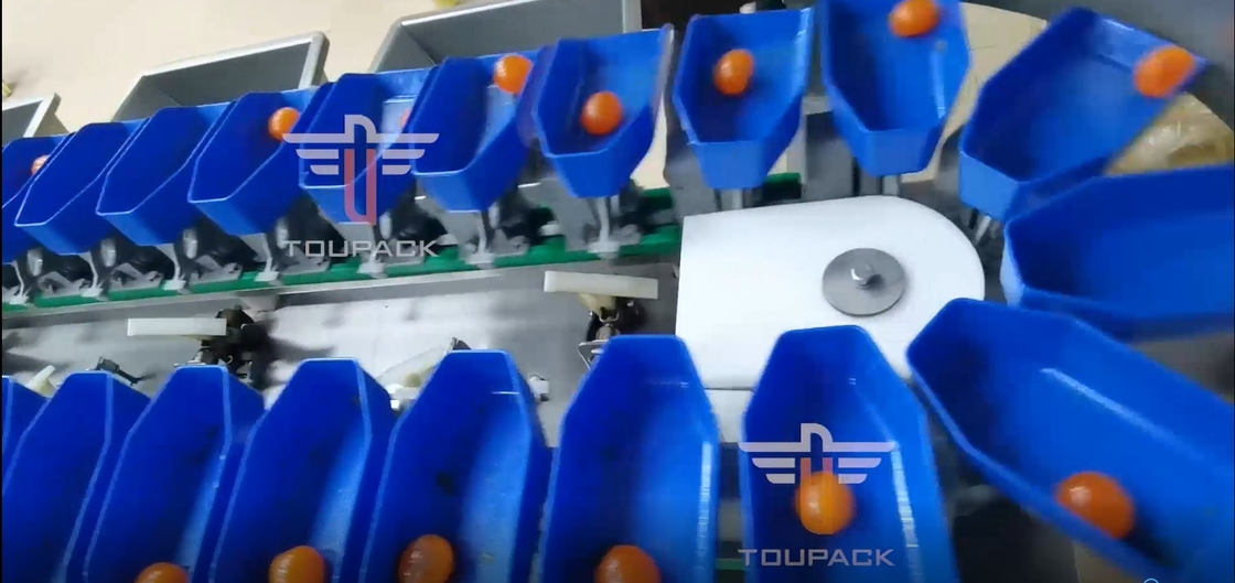 Máquina de classificação circular do peso da multi categoria do tela táctil para frutos dos peixes da gema