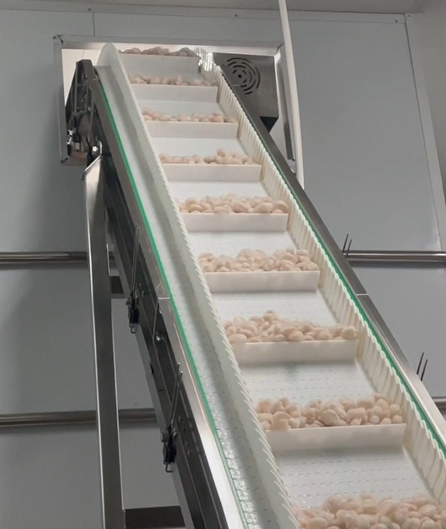 Da oficina gelada do camarão da máquina de embalagem do pesador dos SS 304 peso de embalagem 200g~1500g do alvo do sistema