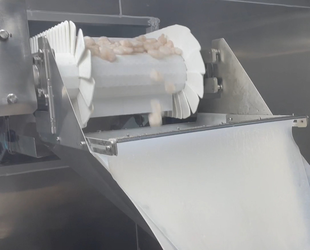 Da oficina gelada do camarão da máquina de embalagem do pesador dos SS 304 peso de embalagem 200g~1500g do alvo do sistema