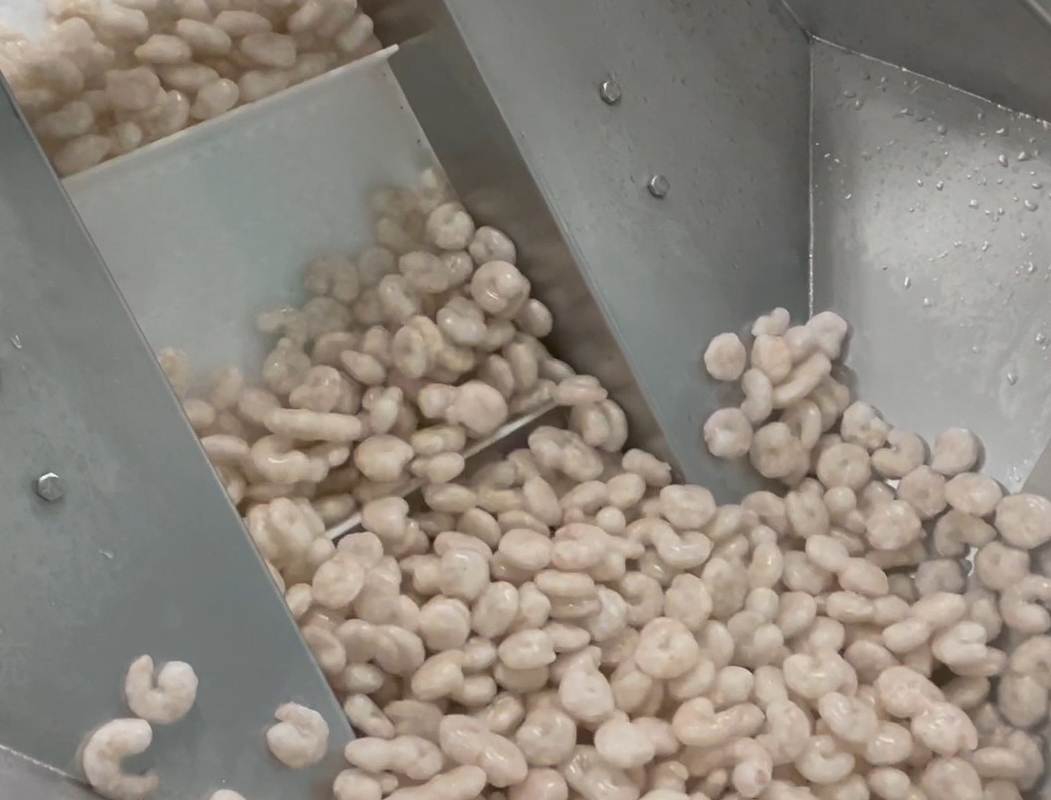 Da oficina gelada do camarão da máquina de embalagem do pesador dos SS 304 peso de embalagem 200g~1500g do alvo do sistema