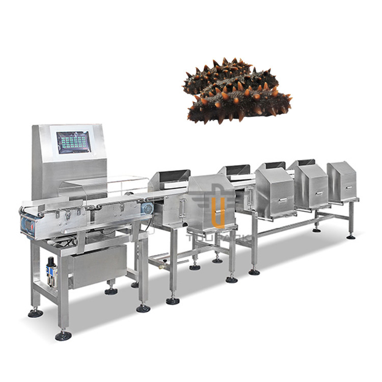 Máquina automática do classificador do graduador da correia transportadora de máquina de classificação do peso de Trepang do camarão dos peixes