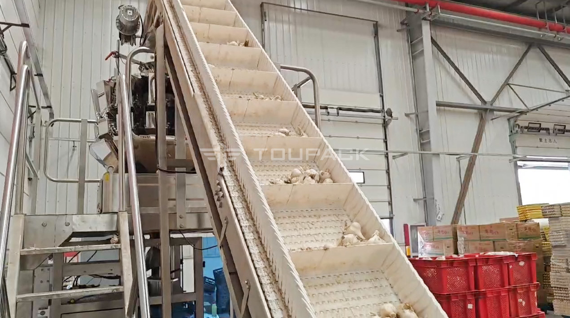 OEM Máquina de Pesagem Automática Bolsa de Grão de Feijão Coriander Batata Alho Bebê Alface Embalagem Máquina