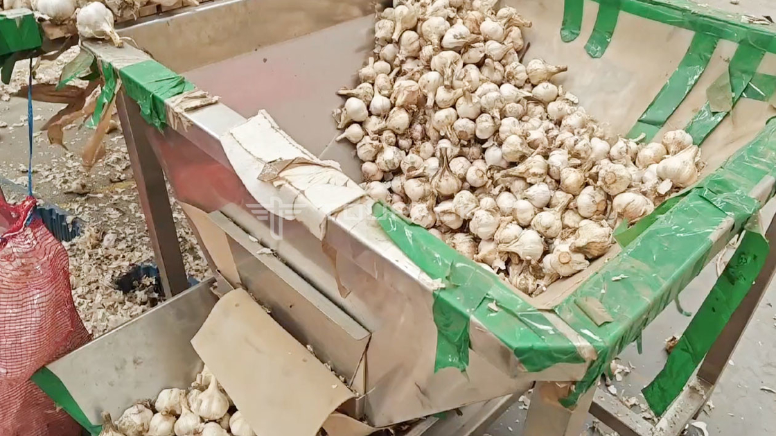 OEM Máquina de Pesagem Automática Bolsa de Grão de Feijão Coriander Batata Alho Bebê Alface Embalagem Máquina