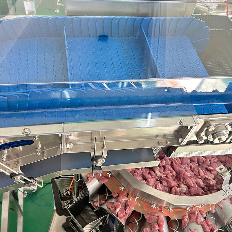 Elevador de elevação vertical de alta capacidade para alimentos, transportadores de baldes de tipo Z para açúcar/granos