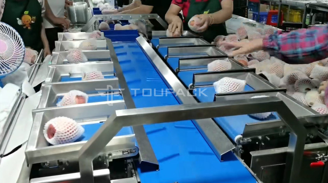 Máquina de Embalagem com Rolo de Travesseiro Balança Combinada de Peso para Pera e Maçã Pesa Combinada de Frutas Máquina de Embalagem de Alta Precisão