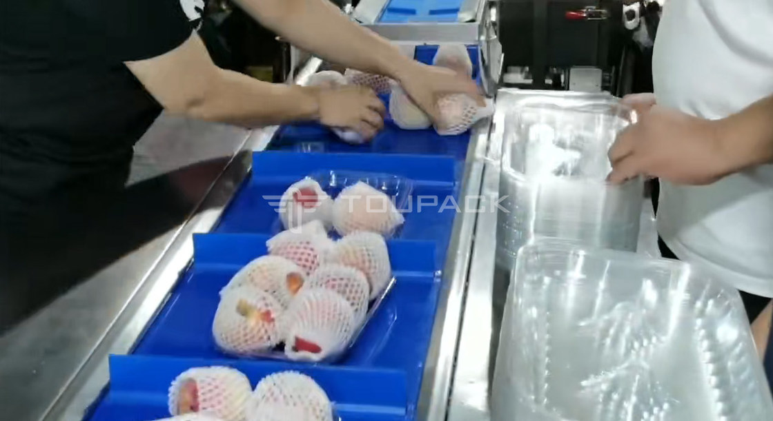 Máquina de Embalagem com Rolo de Travesseiro Balança Combinada de Peso para Pera e Maçã Pesa Combinada de Frutas Máquina de Embalagem de Alta Precisão