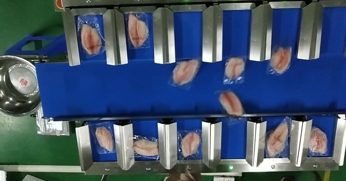 Pesador principal da correia transportadora do sistema do pesador da correia 30WPM de TOUPACK 12 para o alimento de mar
