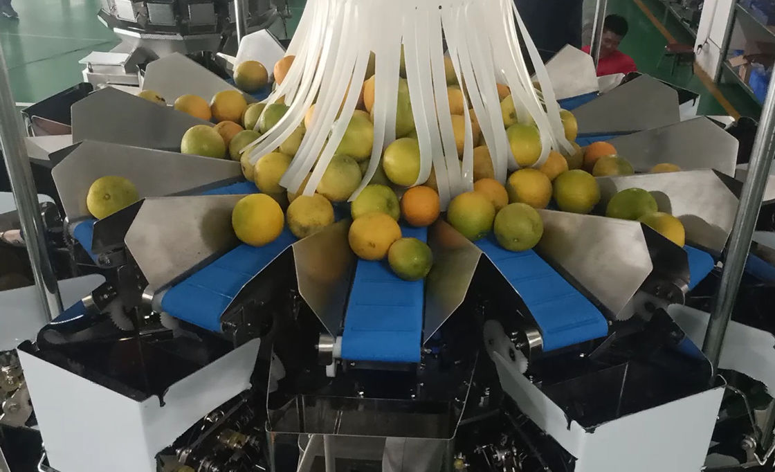 14 a máquina de embalagem principal do pesador de Multihead MCU/PLC para Weiging frutifica laranjas