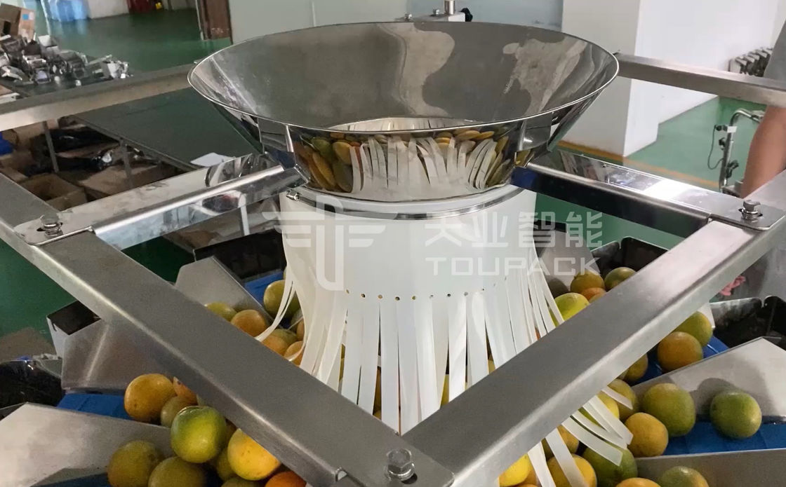14 a máquina de embalagem principal do pesador de Multihead MCU/PLC para Weiging frutifica laranjas
