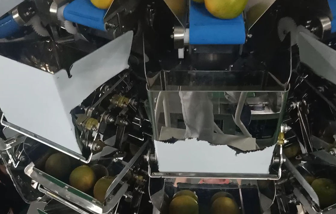 14 a máquina de embalagem principal do pesador de Multihead MCU/PLC para Weiging frutifica laranjas