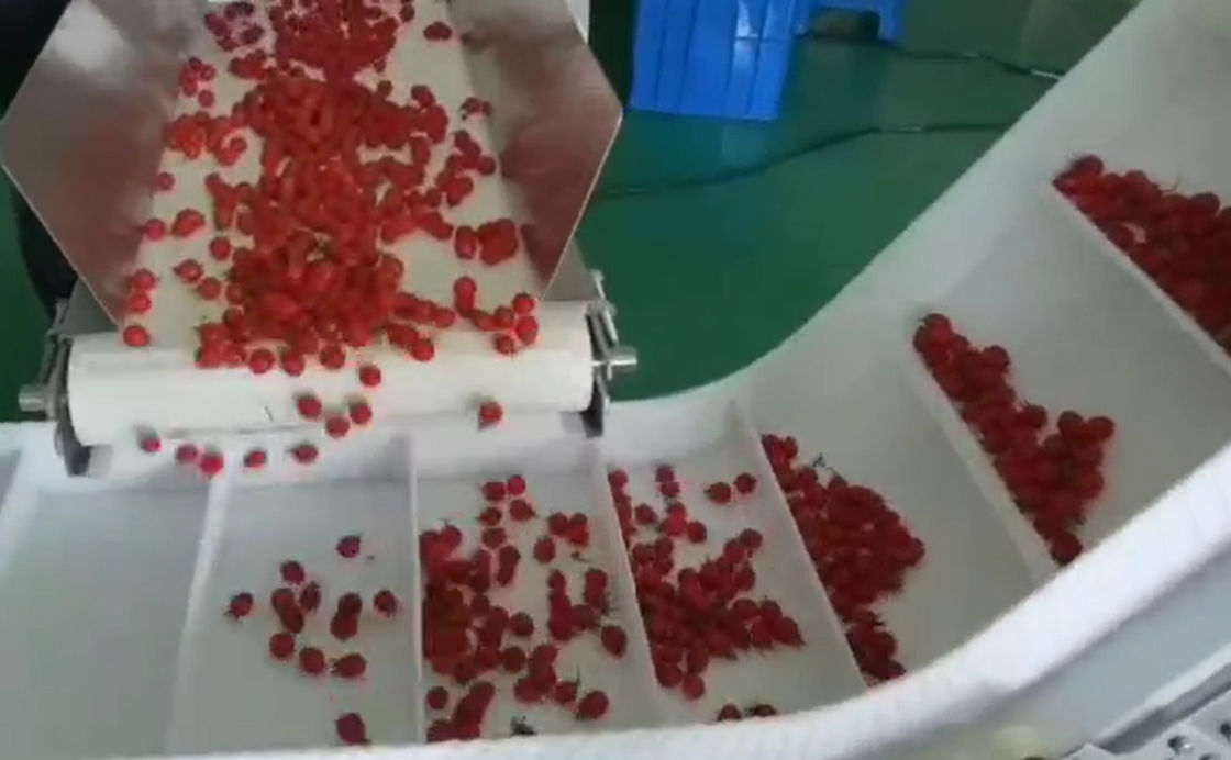 Sistema do peso e de empacotamento do pesador de SUS304 Multihead auto para Cherry Frozen Fruits In Boxes
