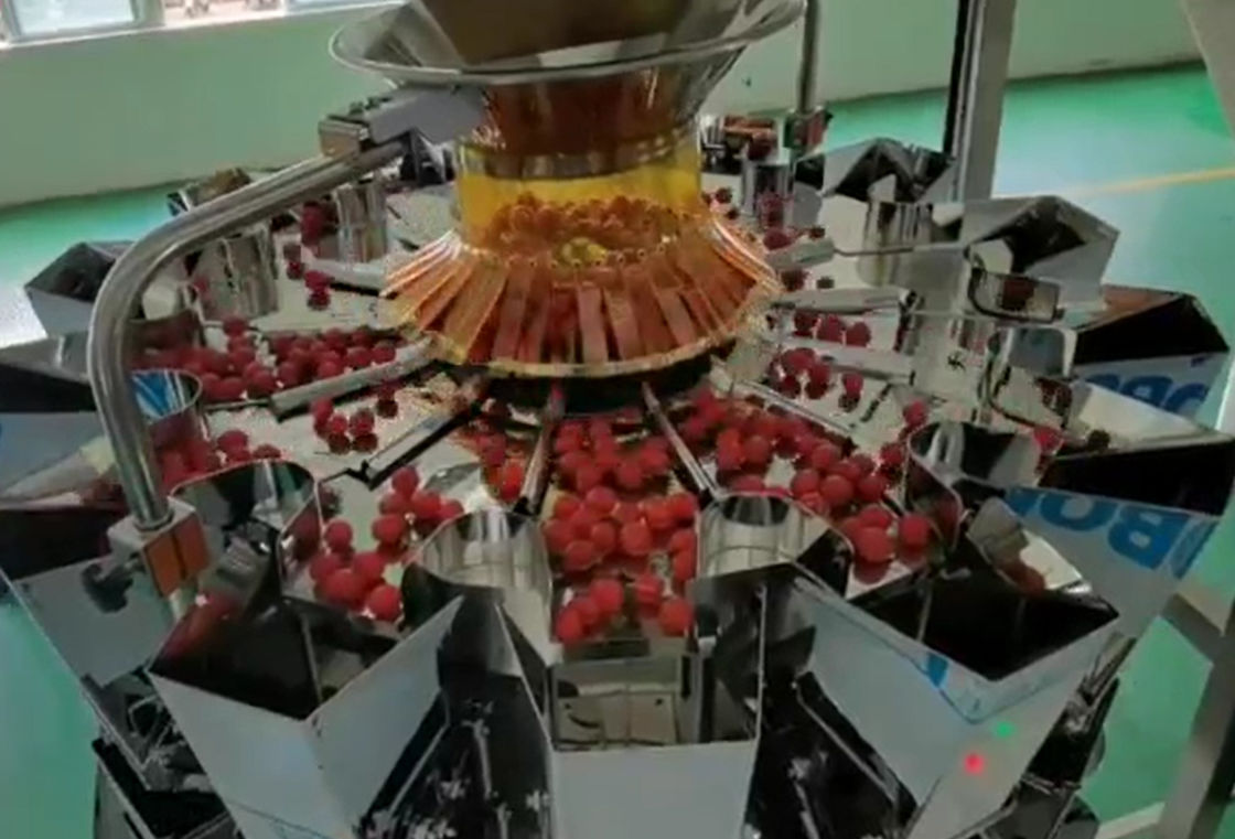Sistema do peso e de empacotamento do pesador de SUS304 Multihead auto para Cherry Frozen Fruits In Boxes