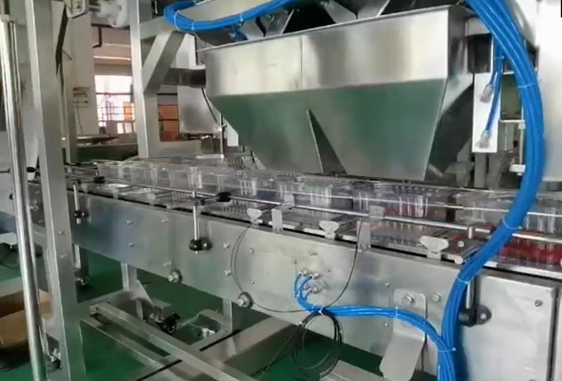 Sistema do peso e de empacotamento do pesador de SUS304 Multihead auto para Cherry Frozen Fruits In Boxes