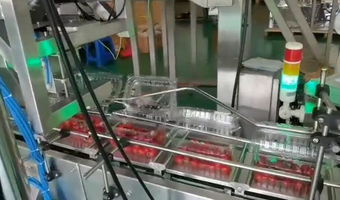 Sistema do peso e de empacotamento do pesador de SUS304 Multihead auto para Cherry Frozen Fruits In Boxes