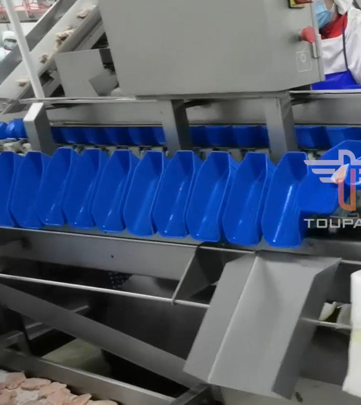 Máquina de classificação principal circular do peso da segurança multi para o alimento de mar 300 vezes/minuto