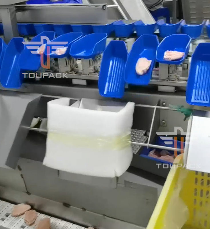 Máquina de classificação principal circular do peso da segurança multi para o alimento de mar 300 vezes/minuto
