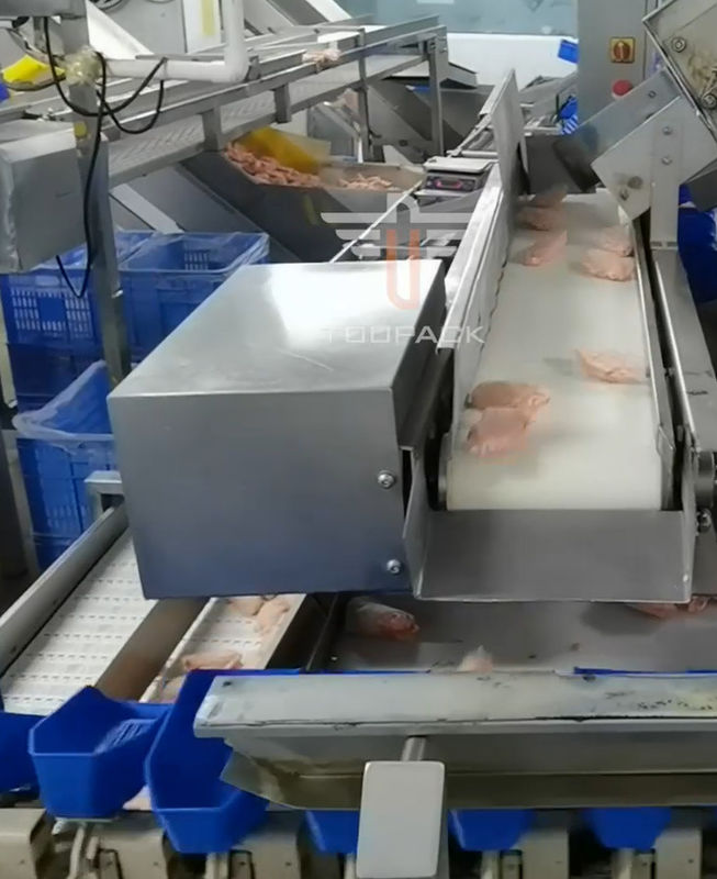 Máquina de classificação principal circular do peso da segurança multi para o alimento de mar 300 vezes/minuto