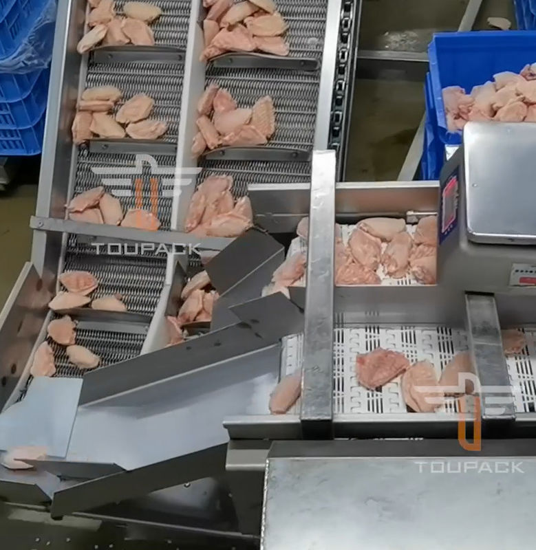 Máquina de classificação principal circular do peso da segurança multi para o alimento de mar 300 vezes/minuto