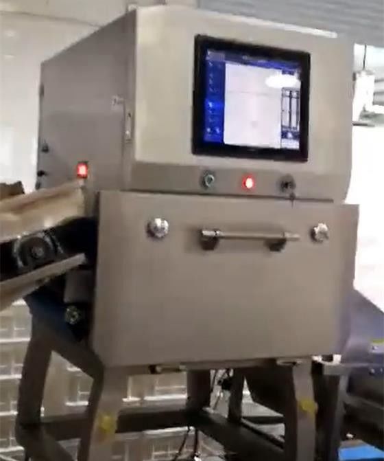 1 detector de Microsievert/H X Ray Food Inspection Systems SUS304 para Chips Nuts