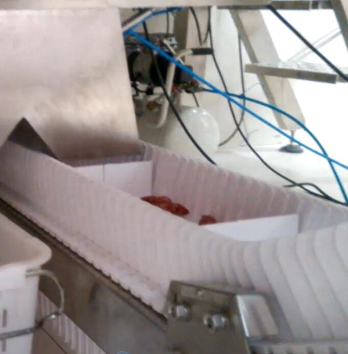 máquina de embalagem do pesador de Multihead do funil 5000g para o açúcar de BPM da indústria 60 da fábrica do alimento