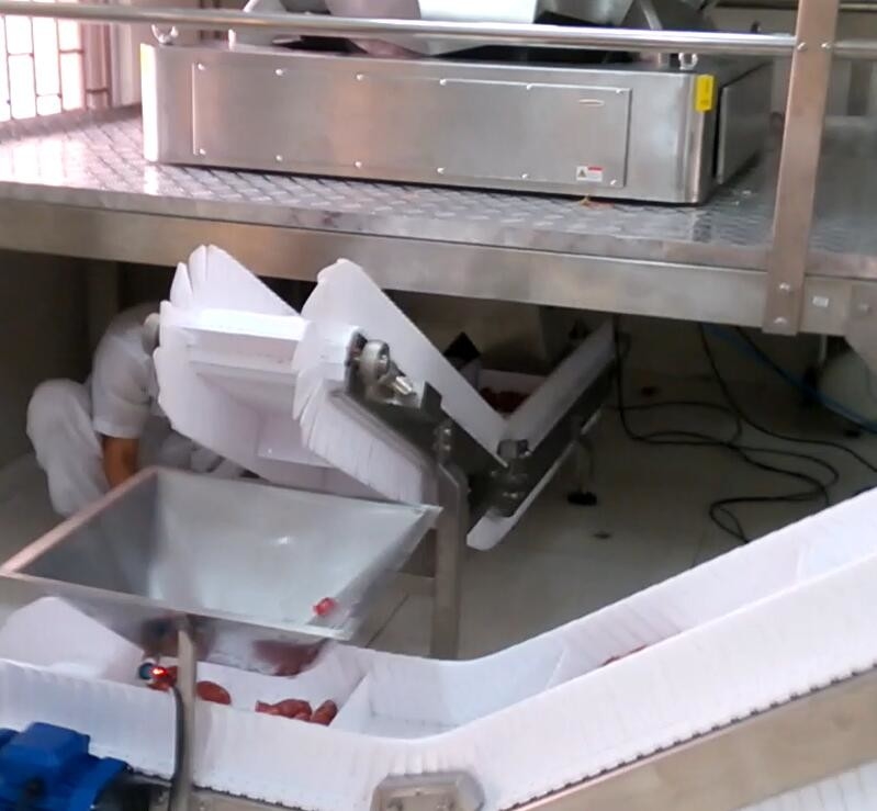 máquina de embalagem do pesador de Multihead do funil 5000g para o açúcar de BPM da indústria 60 da fábrica do alimento