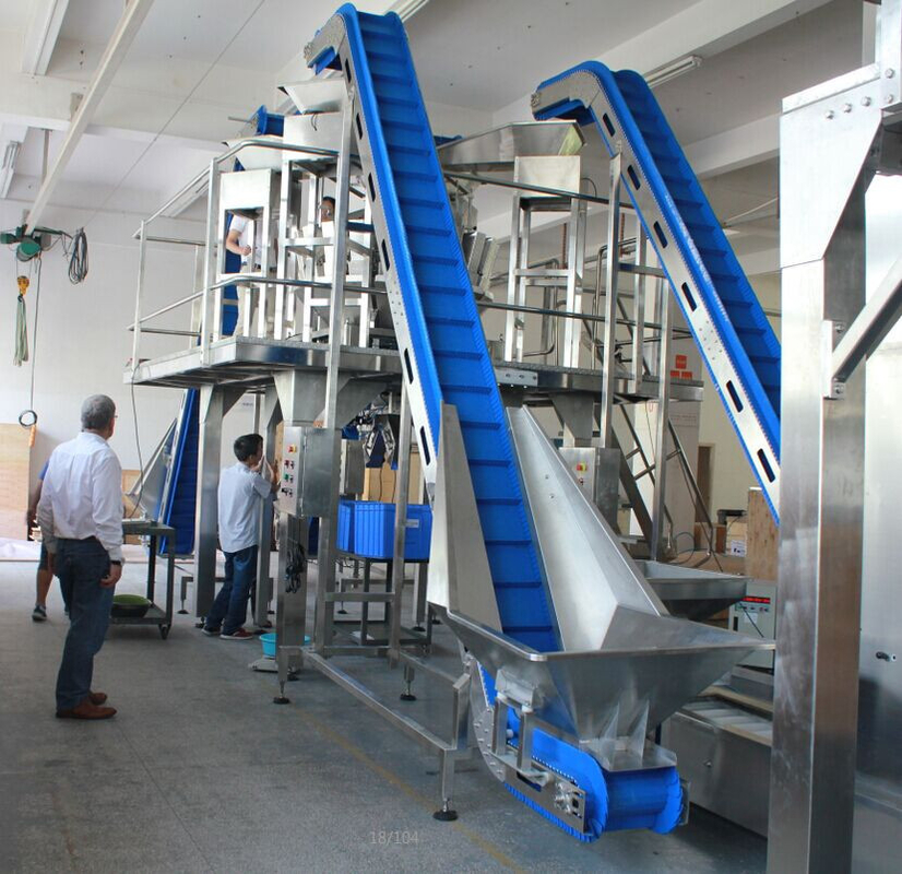 1.1KW inclinou o elevador que da forma do transporte S 200L de aço inoxidável conectou o funil