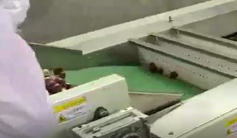 Máquina de classificação dos jujuba do aço carbono 220V que classifica a linha de produção