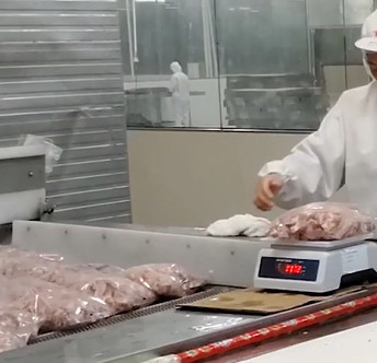20 sacos/Min Multihead Weigher Packing Machine para o produto gelado do osso da carne