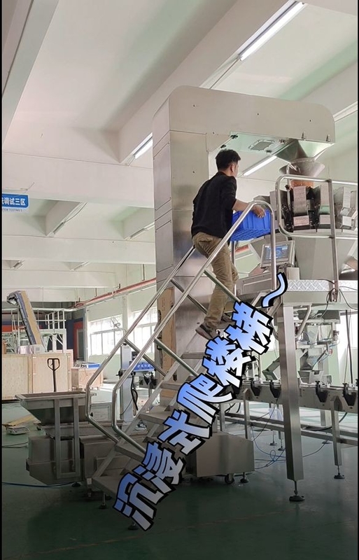 funcionamento de aço inoxidável do transporte da cubeta do declive de Z com o 10/14 de pesador do multihead das cabeças