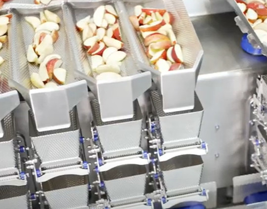 Pesador principal da combinação 8 para sacos cozinhados frescos do produto de carne 30/minuto