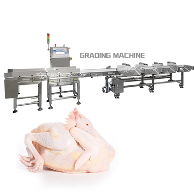 Da galinha automática da máquina de classificação do peso do PLC máquina de classificação inteira da carne