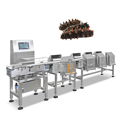 Máquina automática do classificador do graduador da correia transportadora de máquina de classificação do peso de Trepang do camarão dos peixes