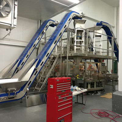 Máquina de embalagem do pesador do ISO 9001 1.5KW Multihead para o saco de Doypack
