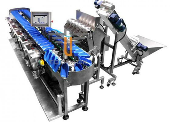 Máquina de classificação do peso da máquina de empacotamento das frutas e legumes de 300WPM 1000g