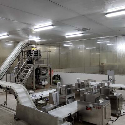 Correia ISO9001 transportadora que classifica o sistema