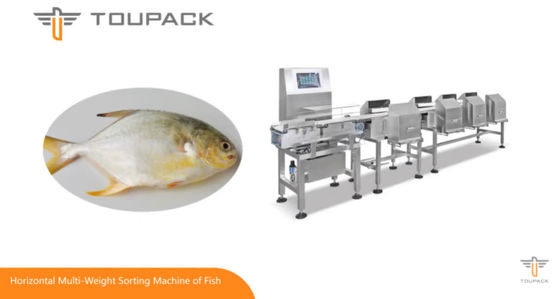 máquina de classificação do peso 500g