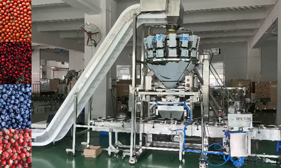 Sistema do peso e de empacotamento do pesador de SUS304 Multihead auto para Cherry Frozen Fruits In Boxes