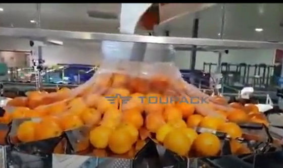 Máquina de empacotamento alaranjada automática das frutas e legumes com rede