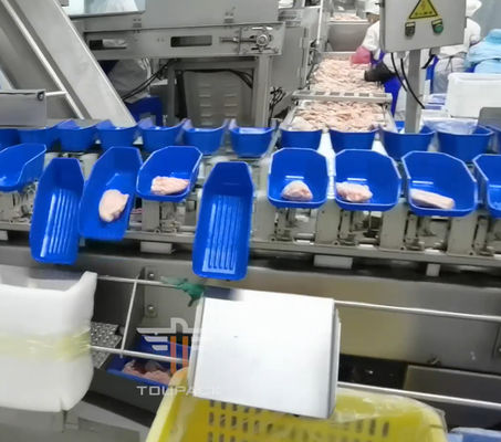 Máquina de classificação principal circular do peso da segurança multi para o alimento de mar 300 vezes/minuto