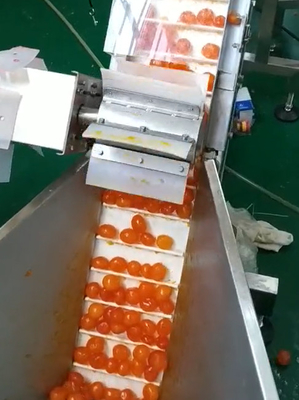 Multi gema da máquina de empacotamento do vácuo do pesador que classifica e que transporta o projeto