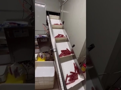 Sistema automático de ponderação e transporte para salsichas de forma longa, cachorros-quentes