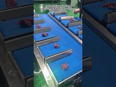 Máquina de embalagem de pesadores multi-cabeça para carne