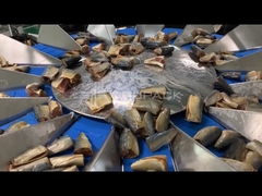 TOUPACK 14 cabeça Pesadora multi-cabeça para pesagem de peixes